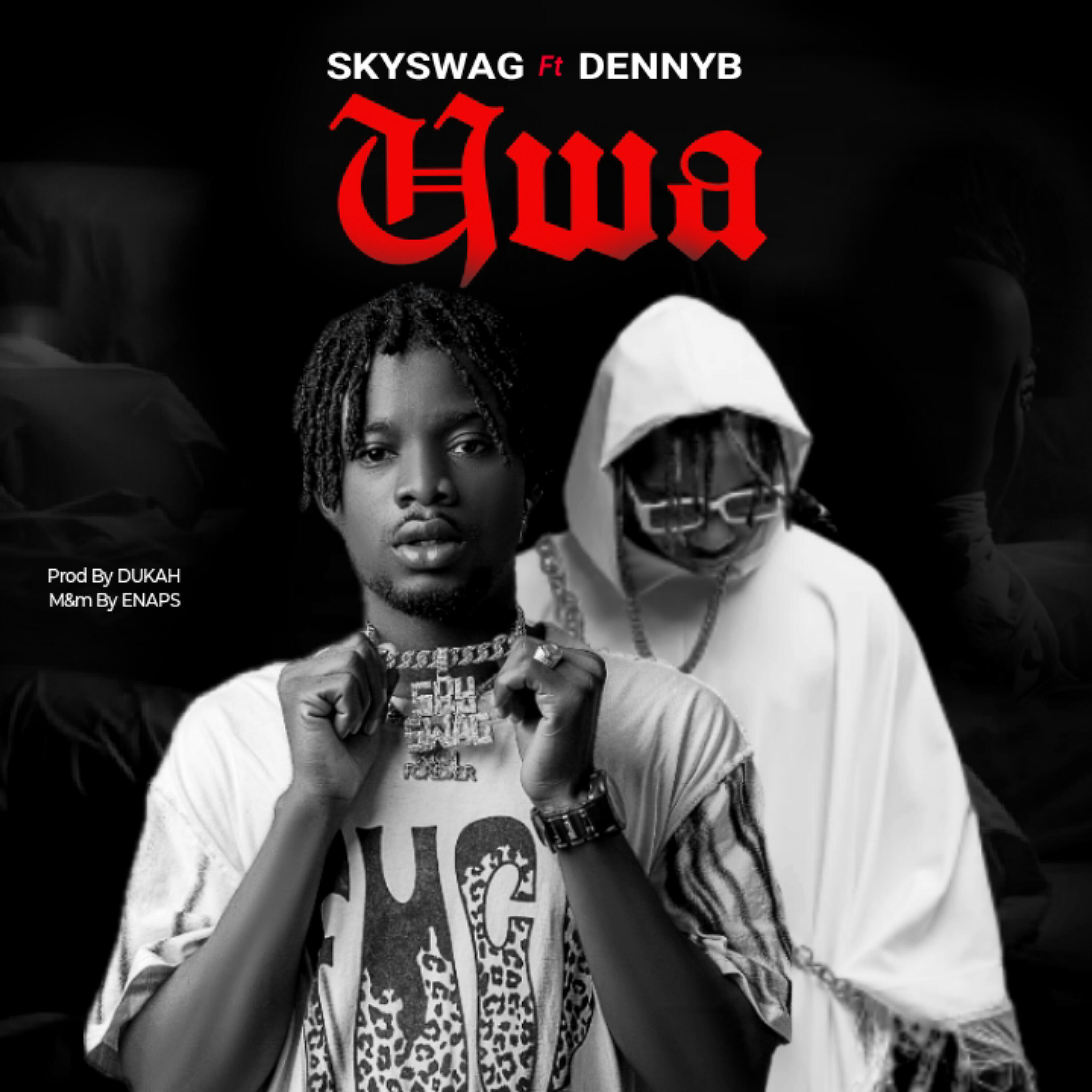 Skyswag