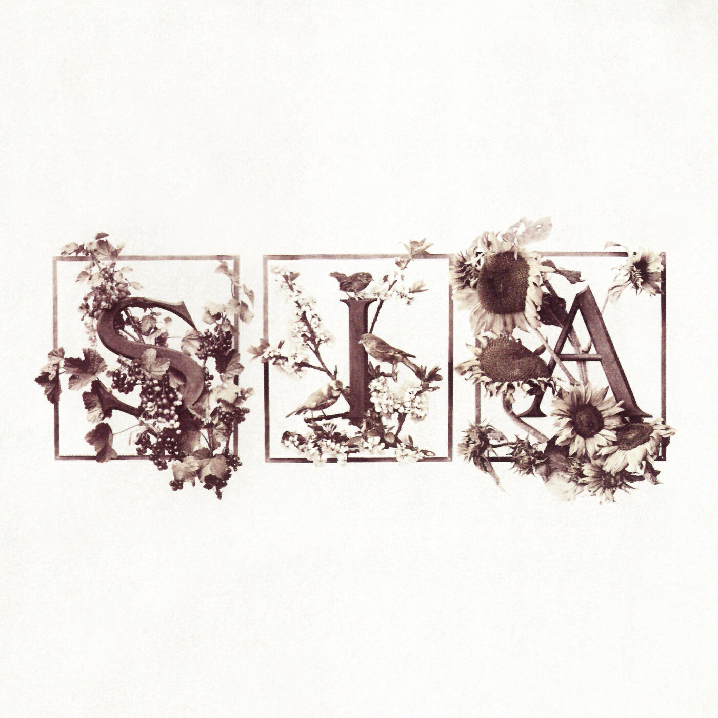 Sia - The Bully