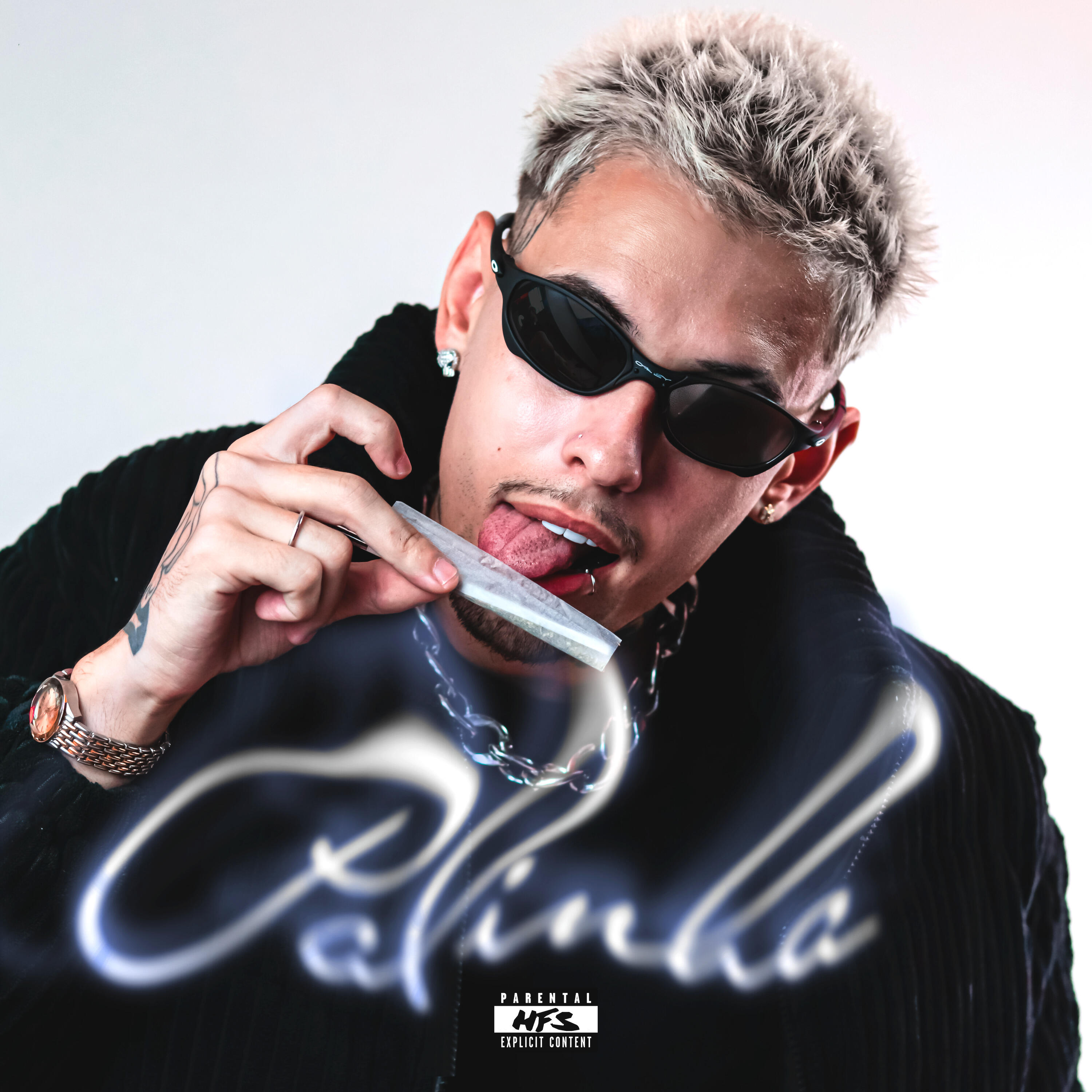 Релиз Palinha