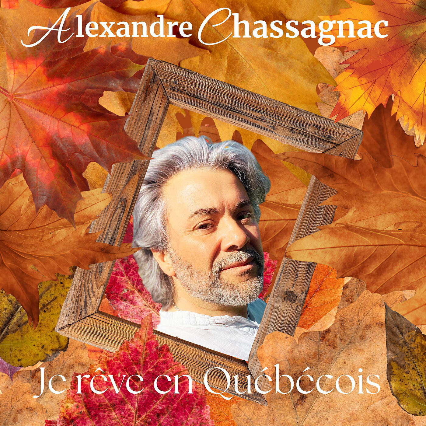 Релиз Je rêve en Québécois
