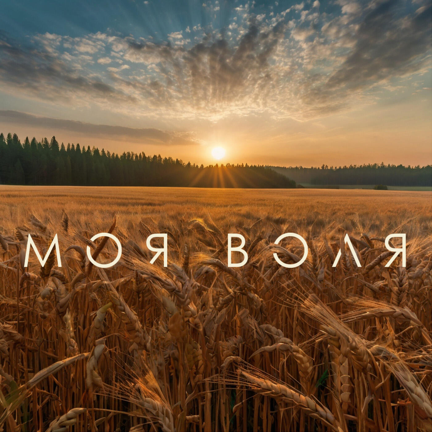 Релиз Моя воля