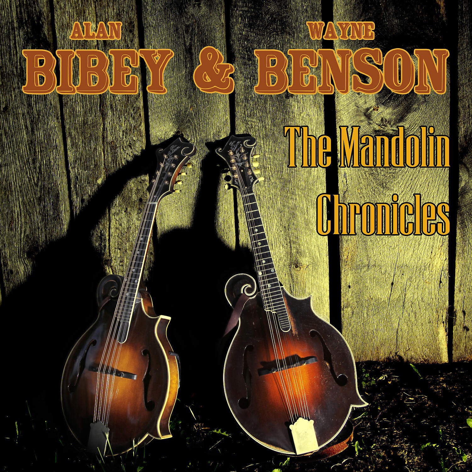 Релиз Mandolin Chronicles