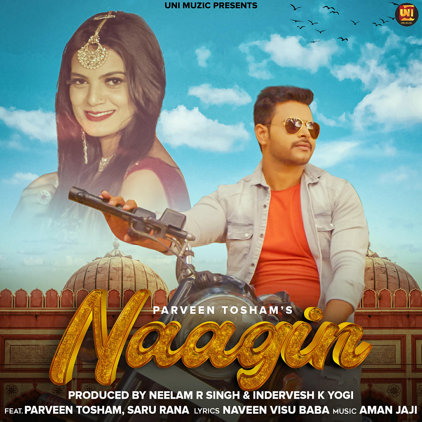 Релиз Naagin