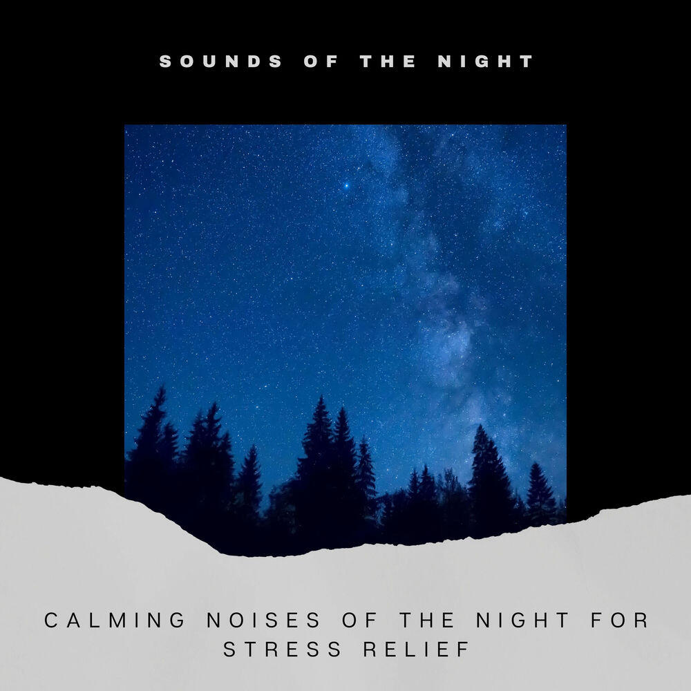 Релиз Calming Noises of the Night for Stress Relief