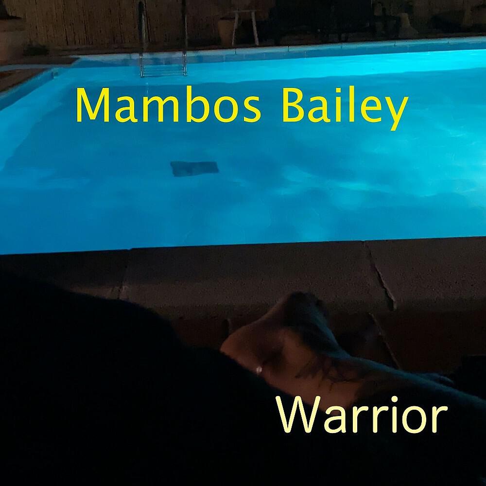 Релиз Warrior