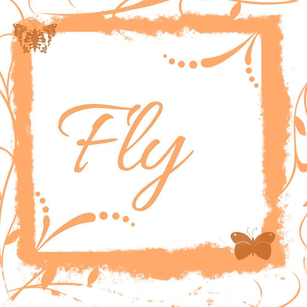 Релиз Fly