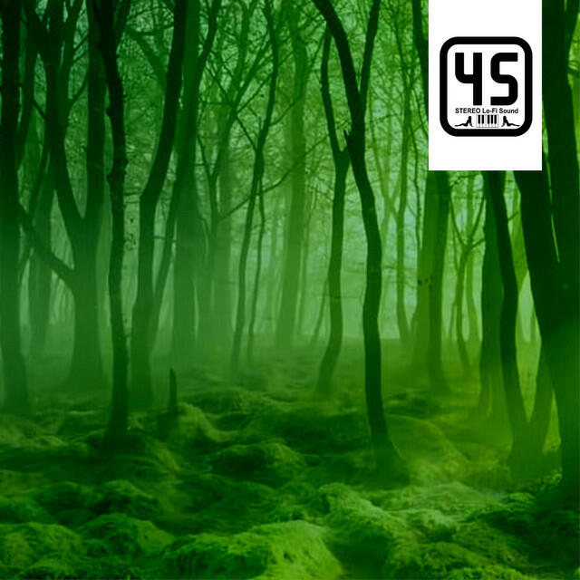 Релиз Imaginary Forrest