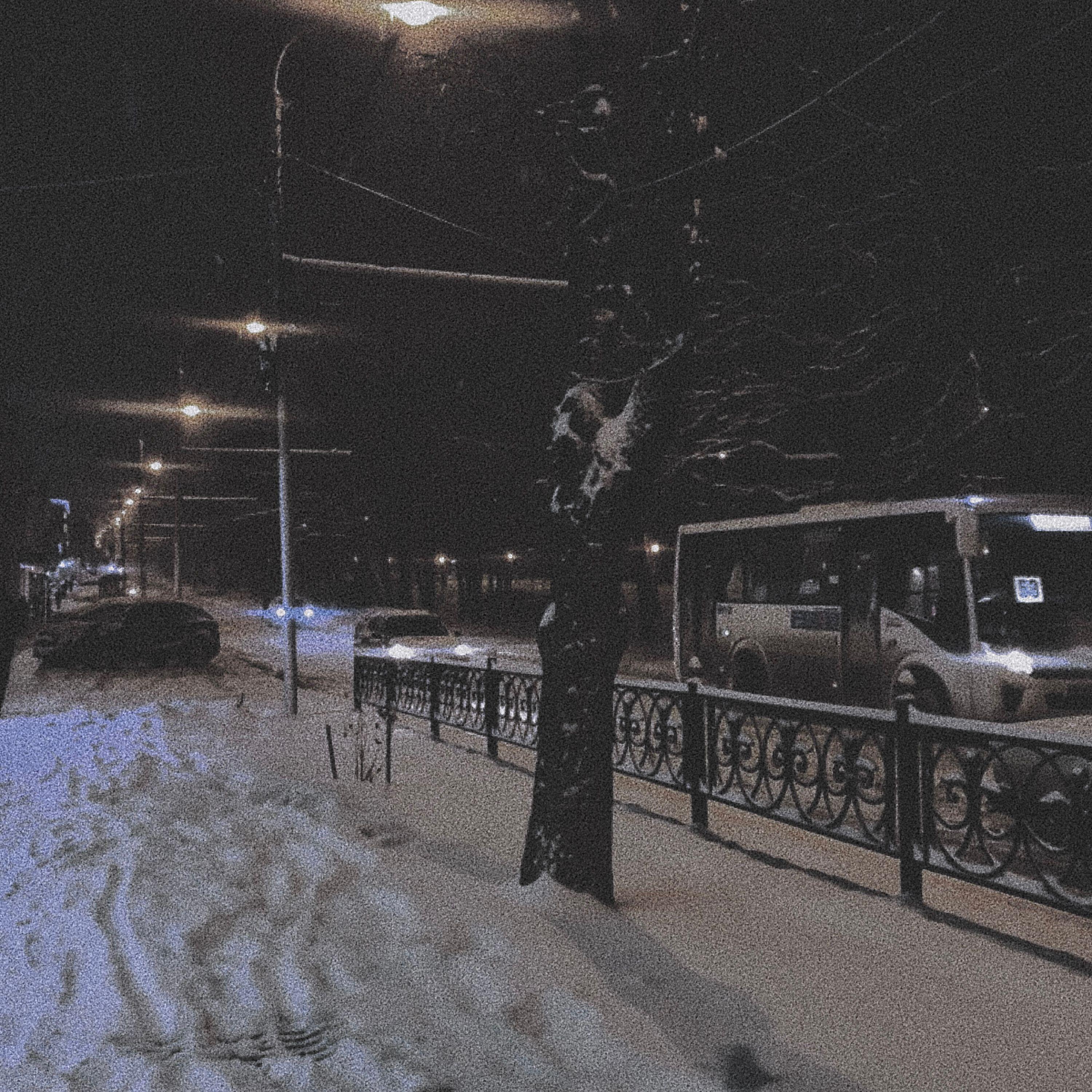 Постер альбома ВЫЖИТЬ ЗИМОЙ