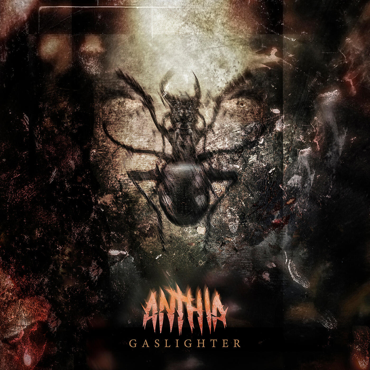 Anthia