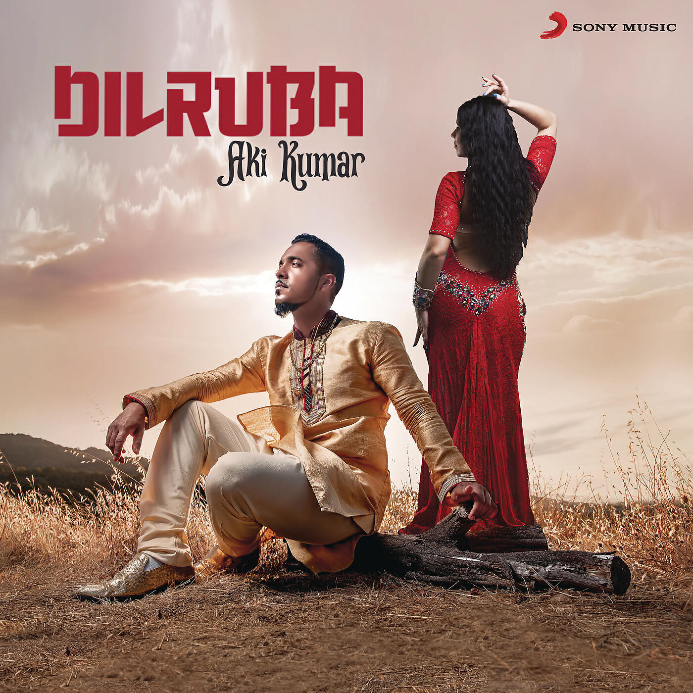 Релиз Dilruba