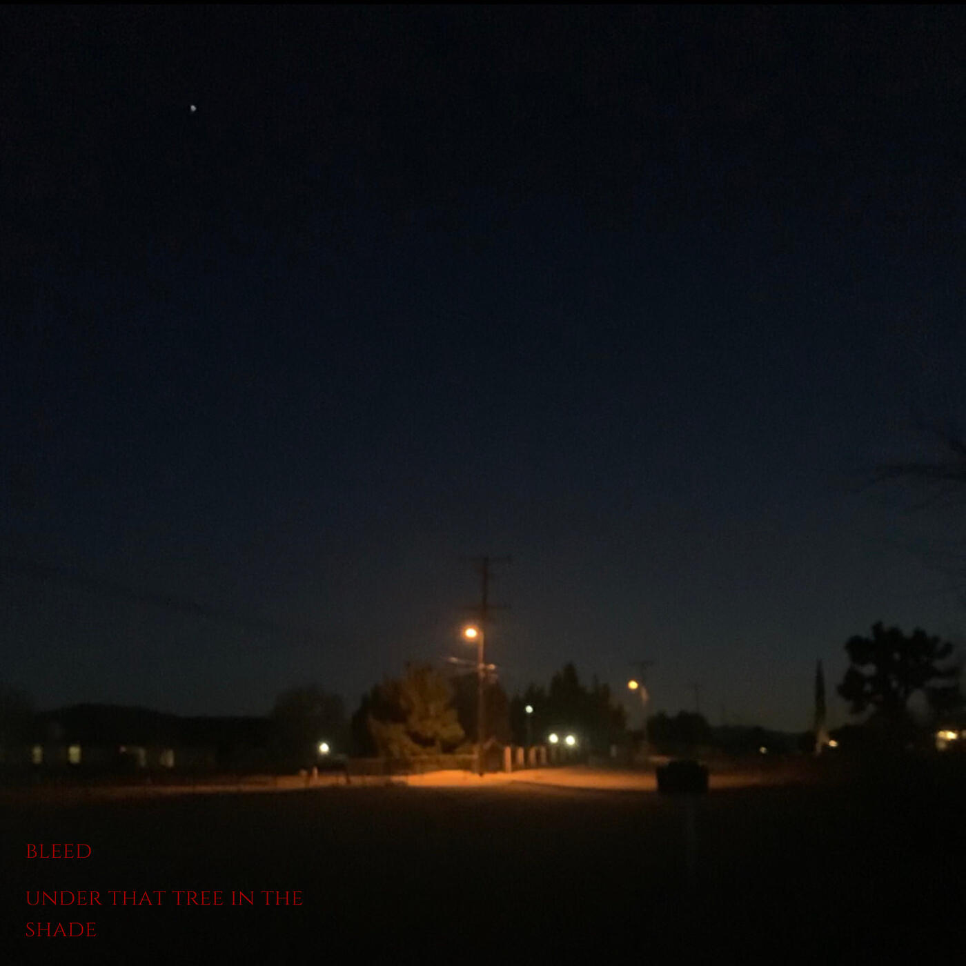 Релиз Under That Tree in the Shade