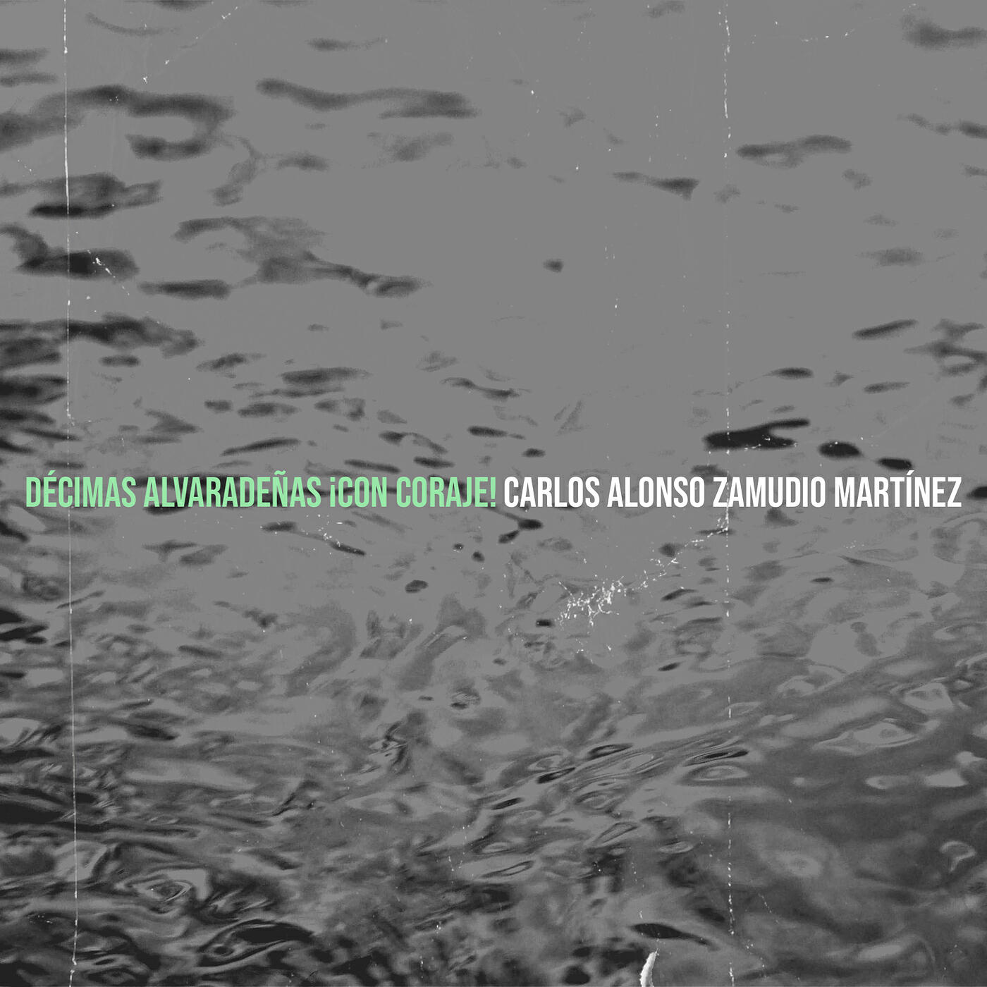 Carlos Alonso Zamudio Martínez