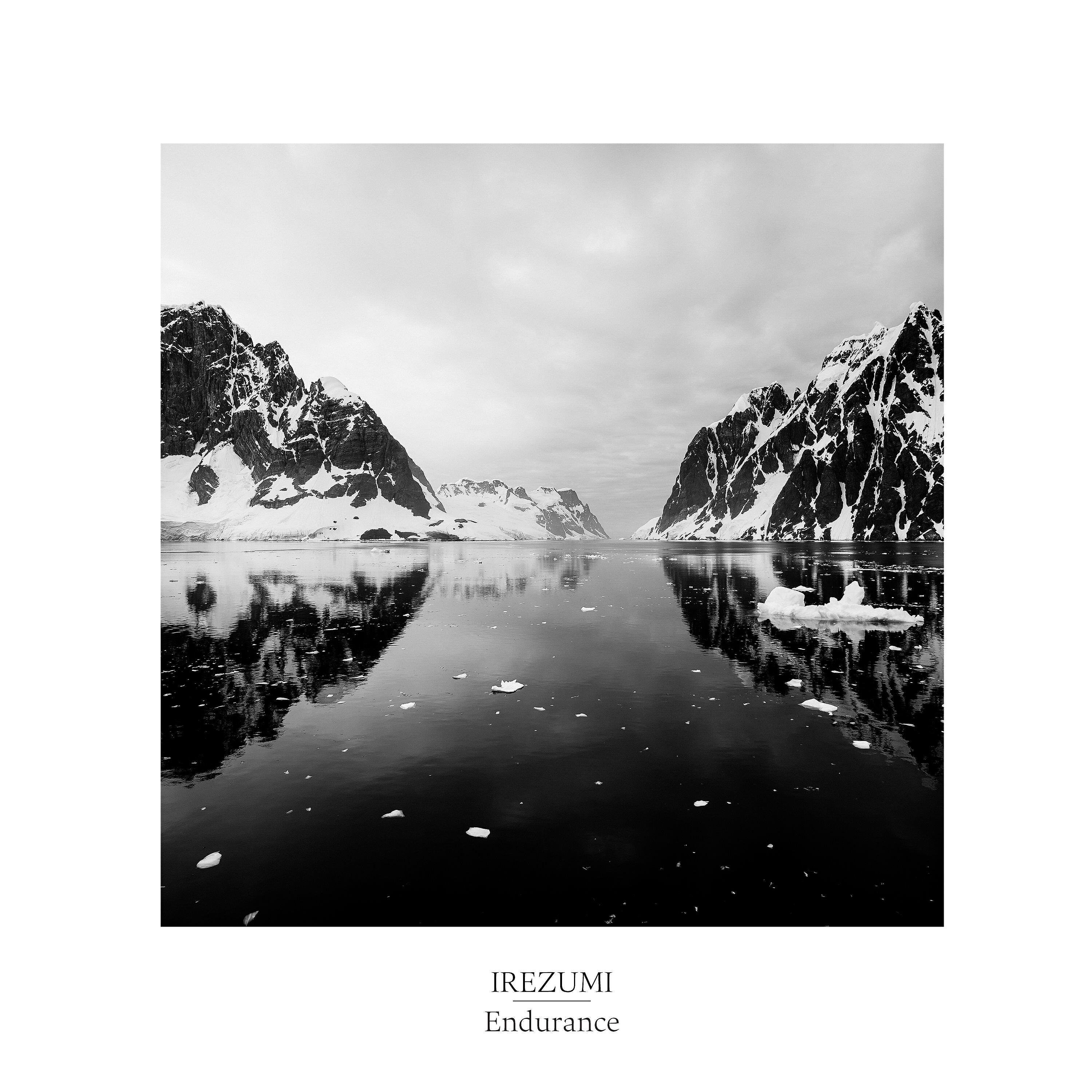 Релиз Endurance