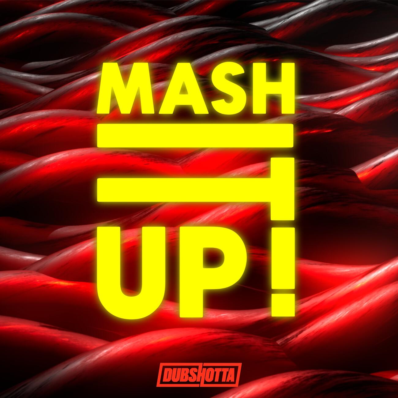 Постер альбома Mash It Up