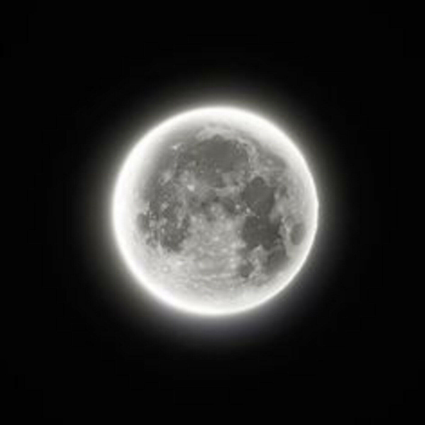 Релиз Fly Me To The Moon