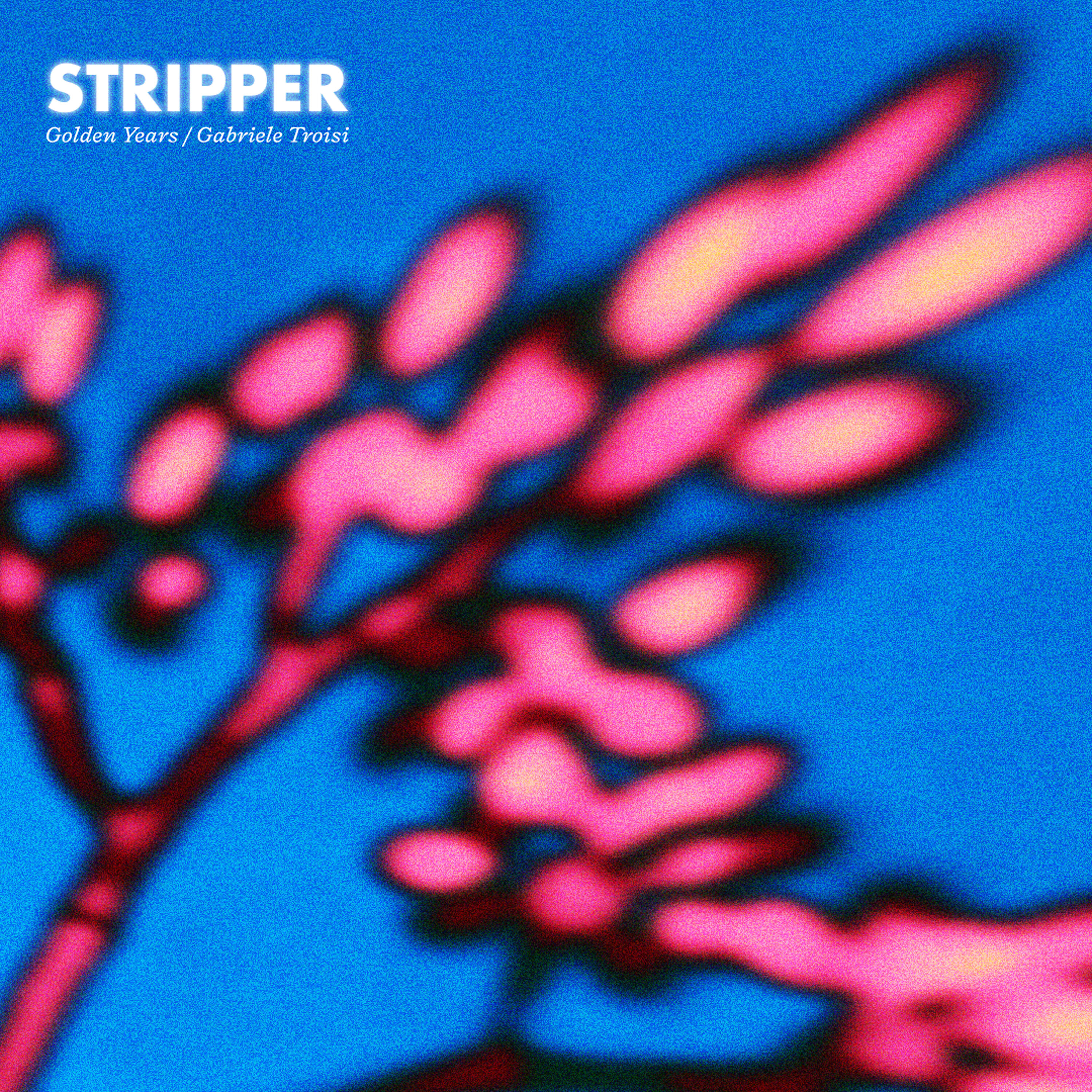 Релиз Stripper