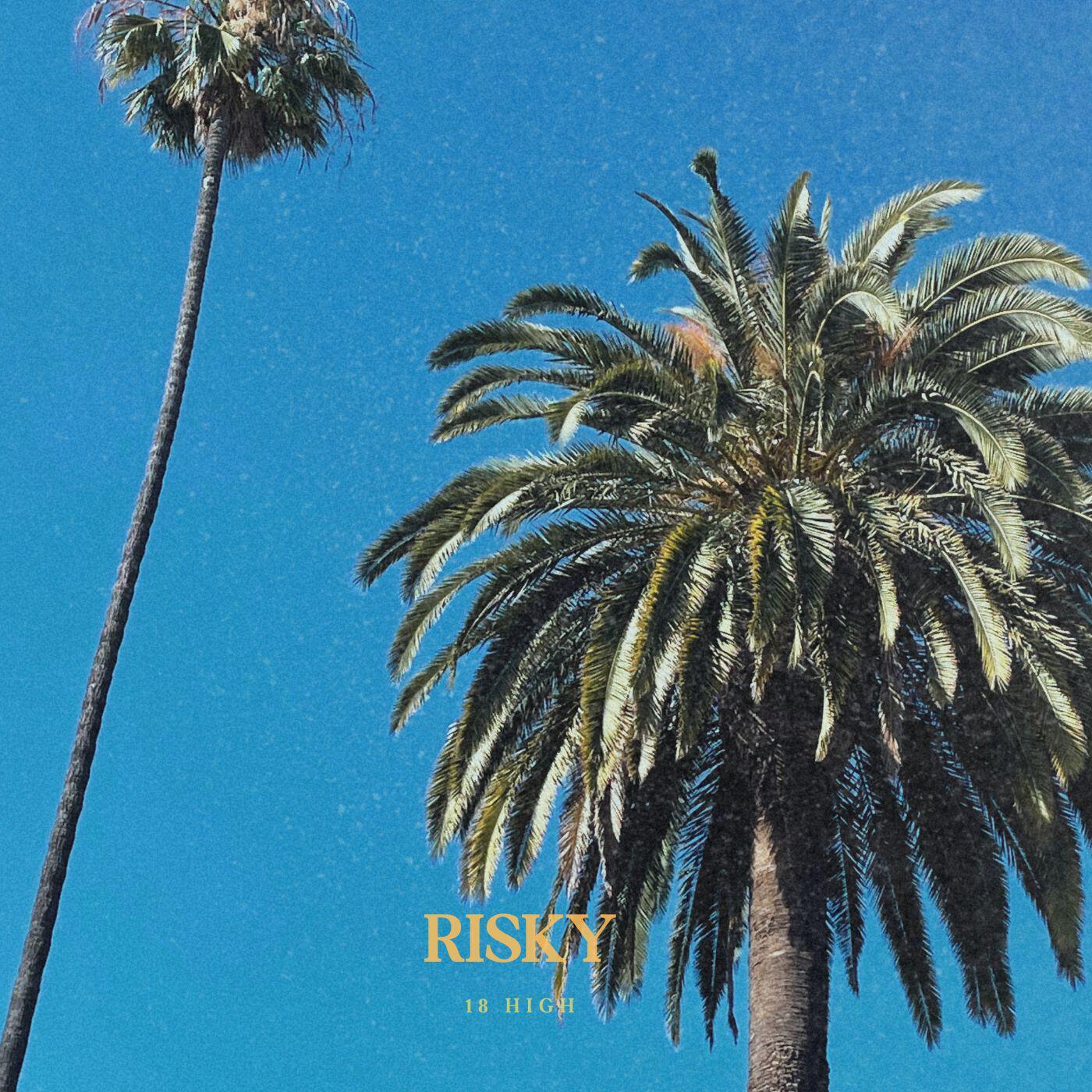 Релиз Risky