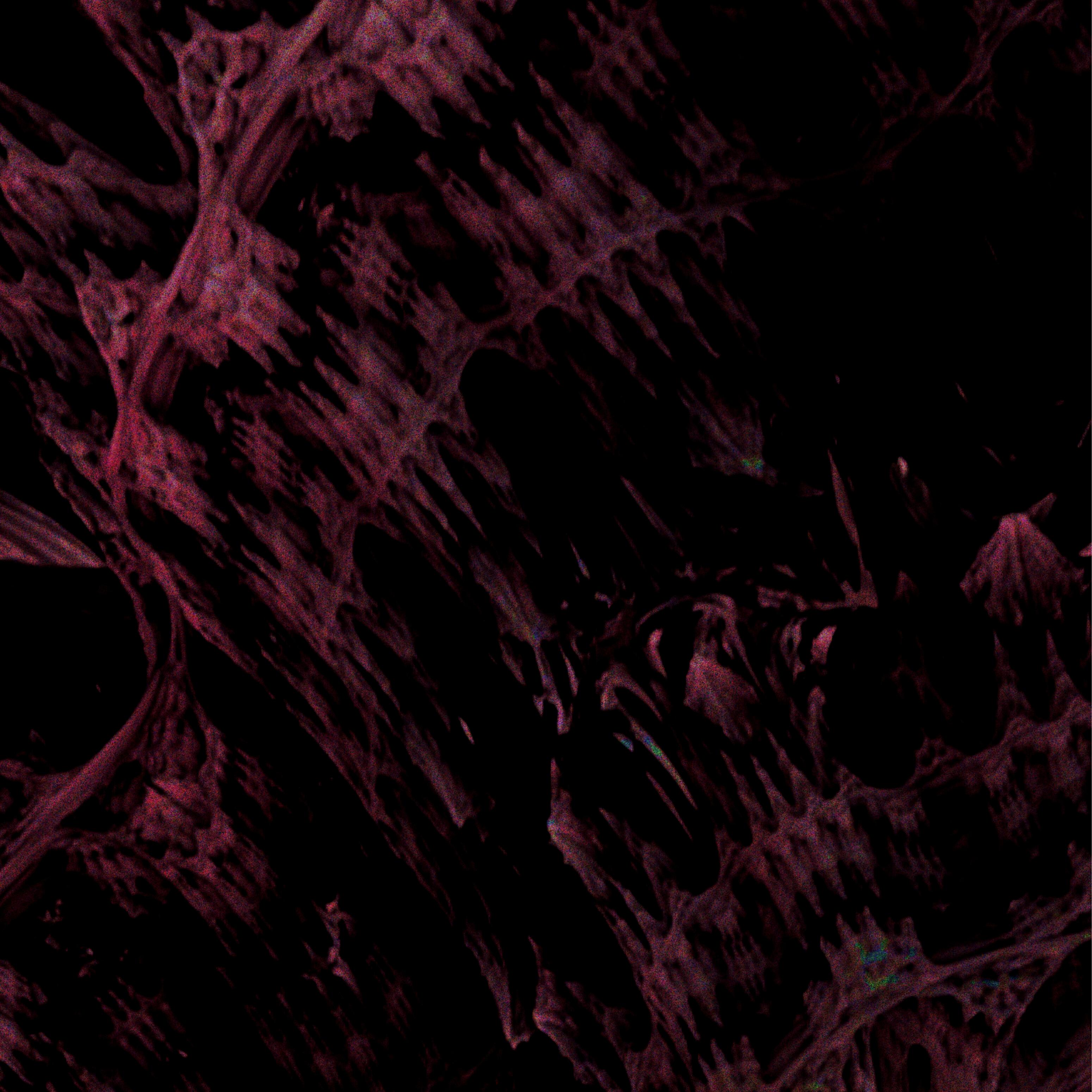 Релиз Abyss / Now You Know
