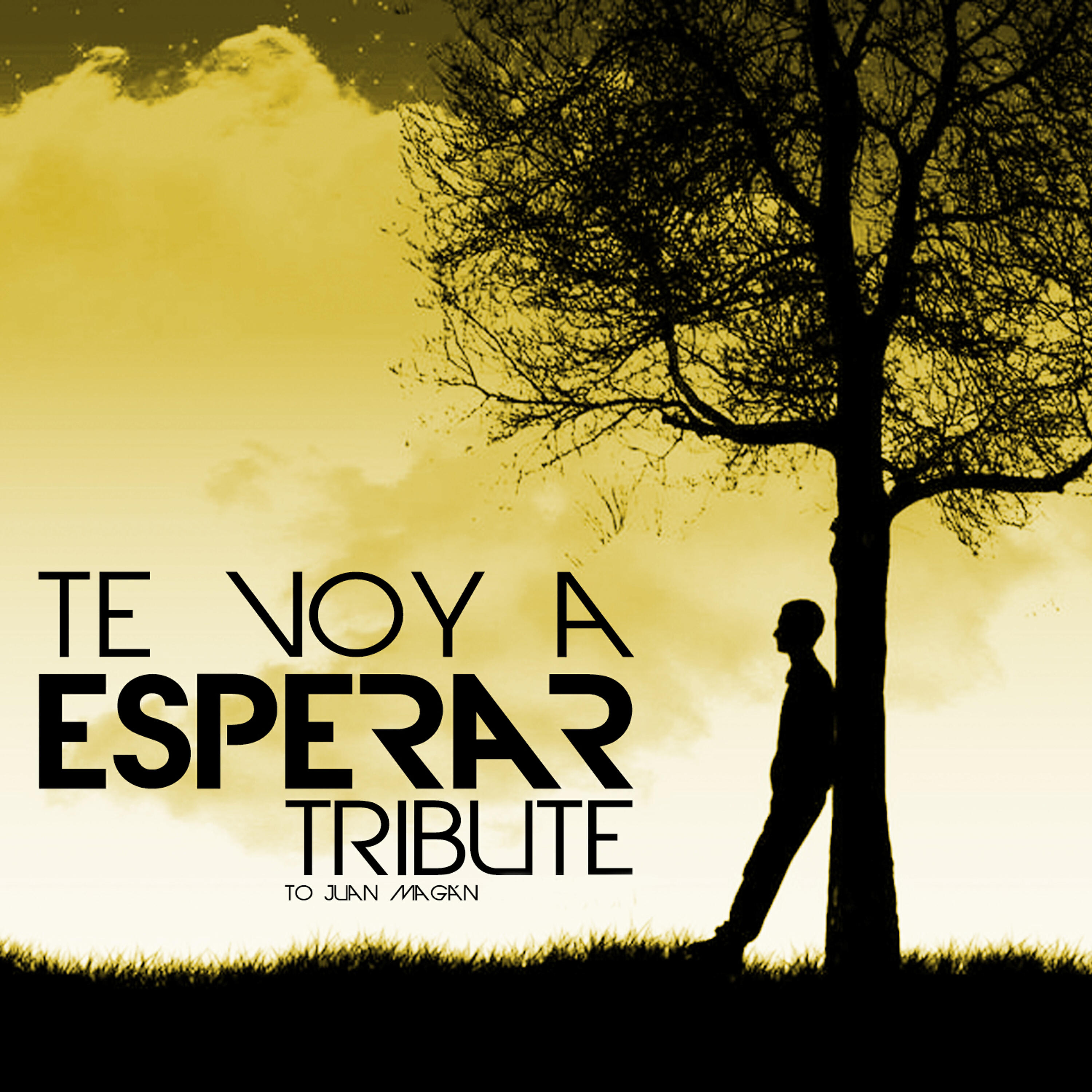 Релиз Te Voy a Esperar. Tribute to Juan Magán
