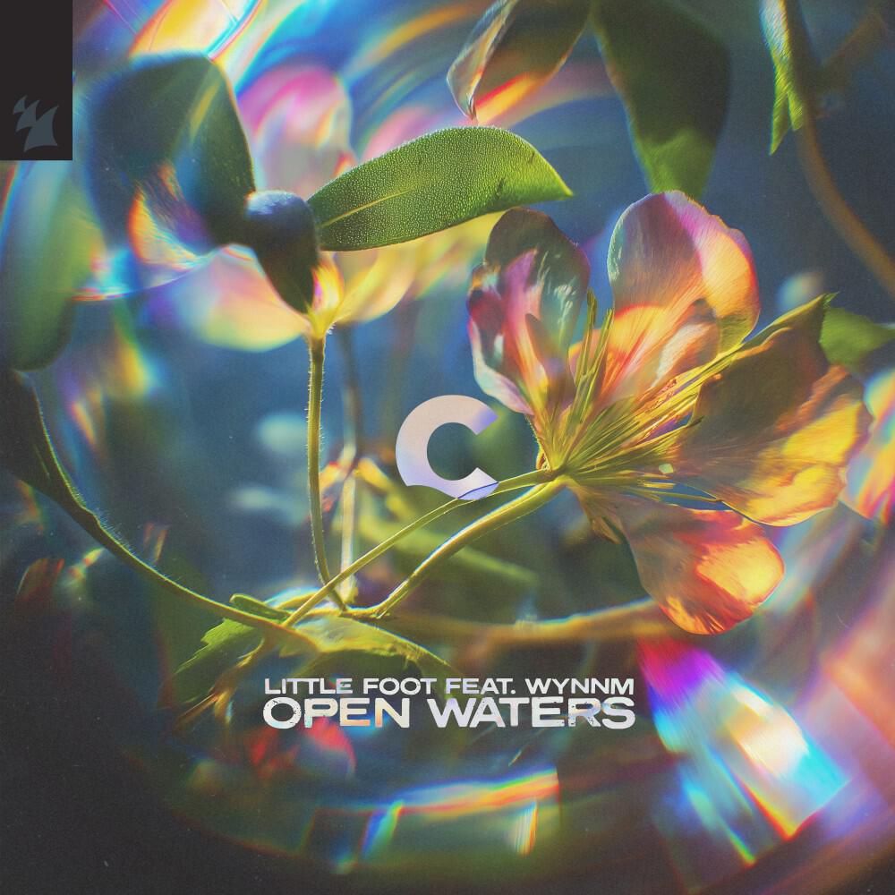 Релиз Open Waters