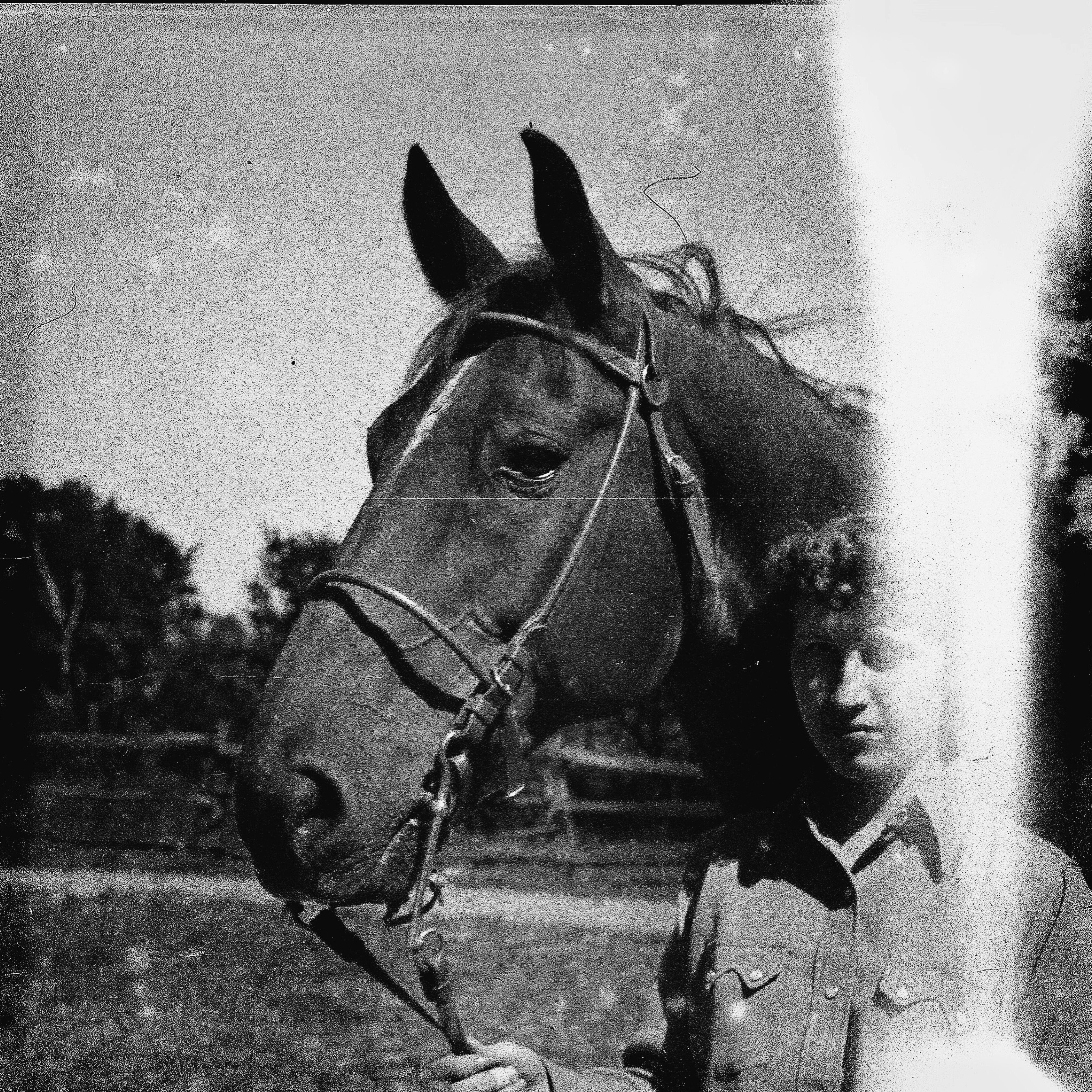 Релиз Berlin Horse