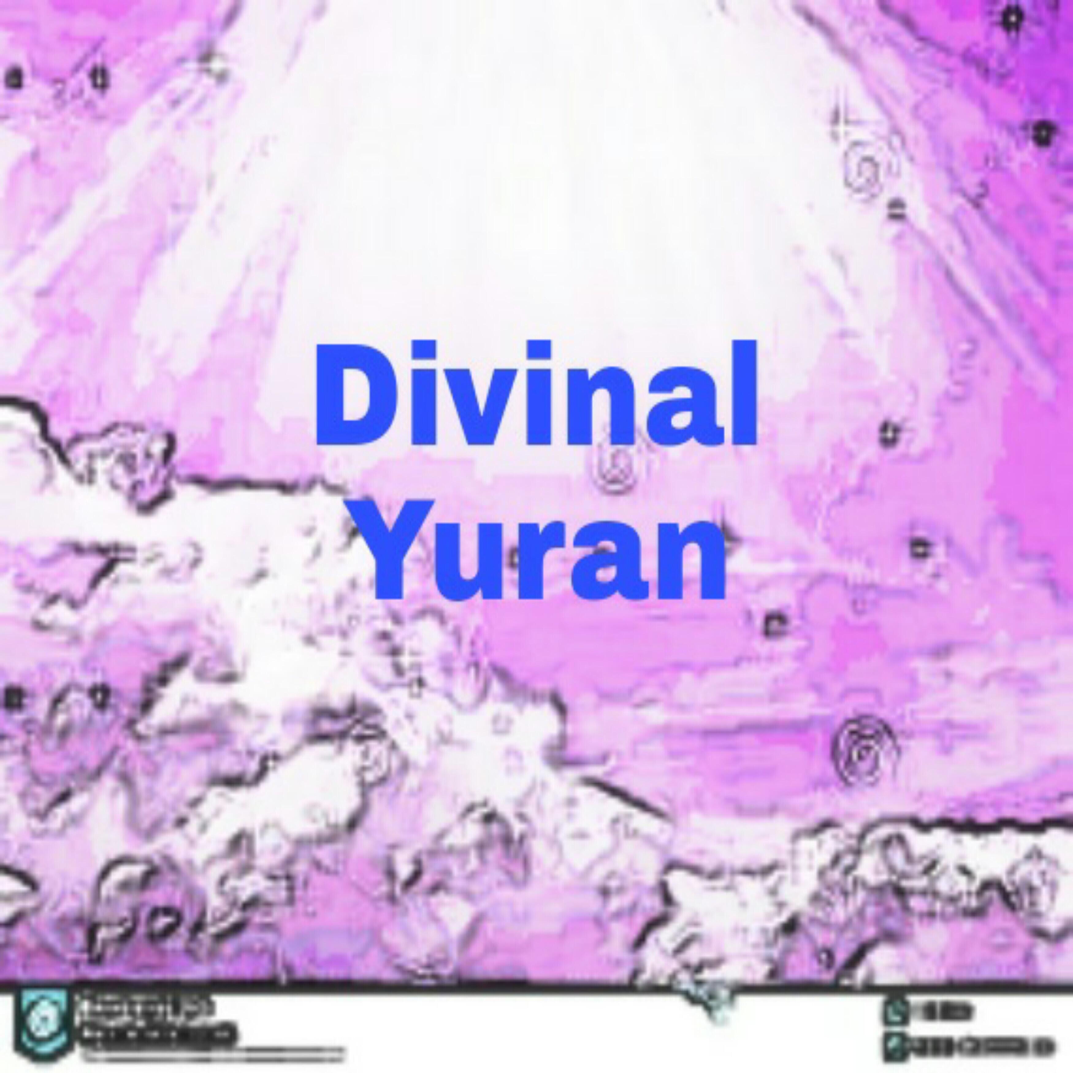 Релиз Divinal