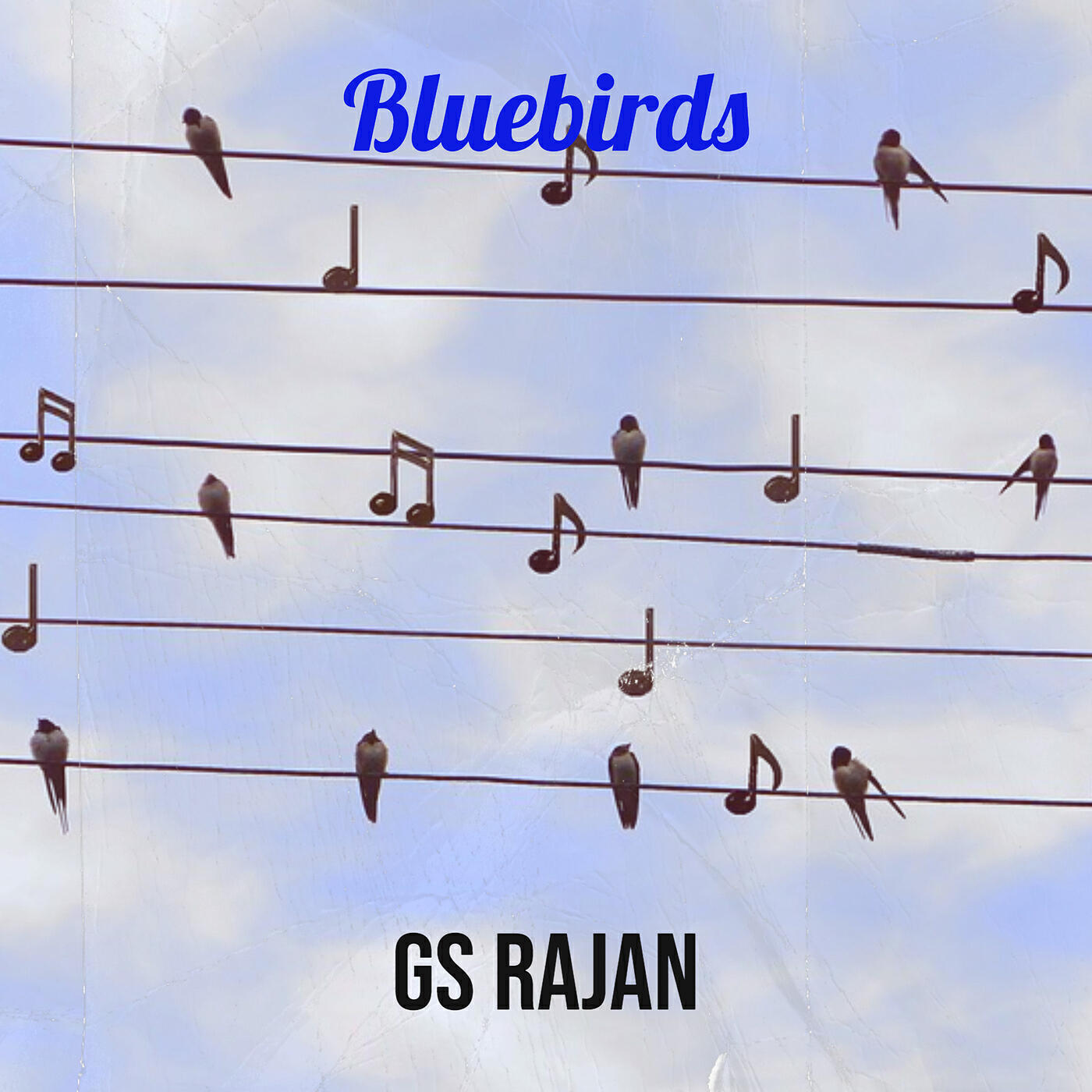 Релиз Bluebirds