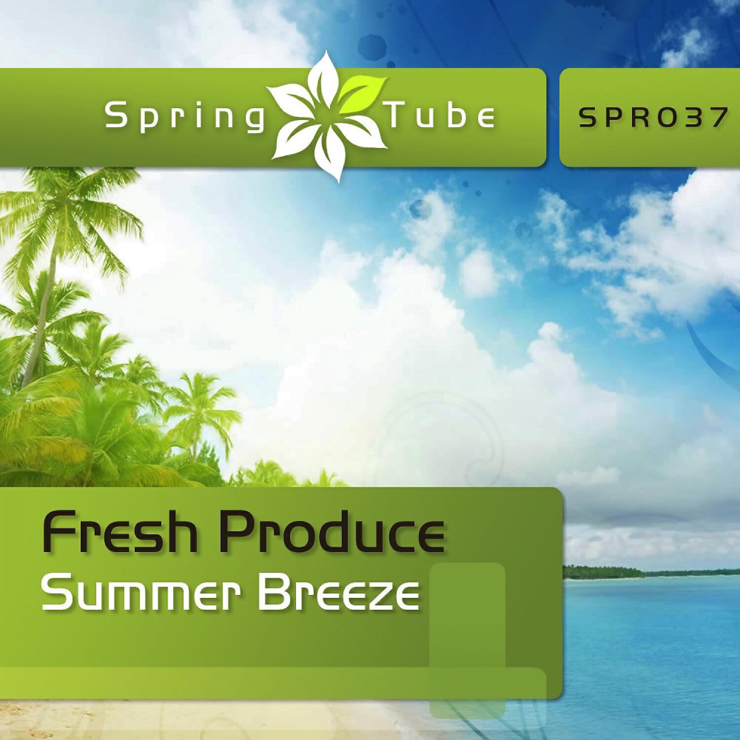 Релиз Summer Breeze