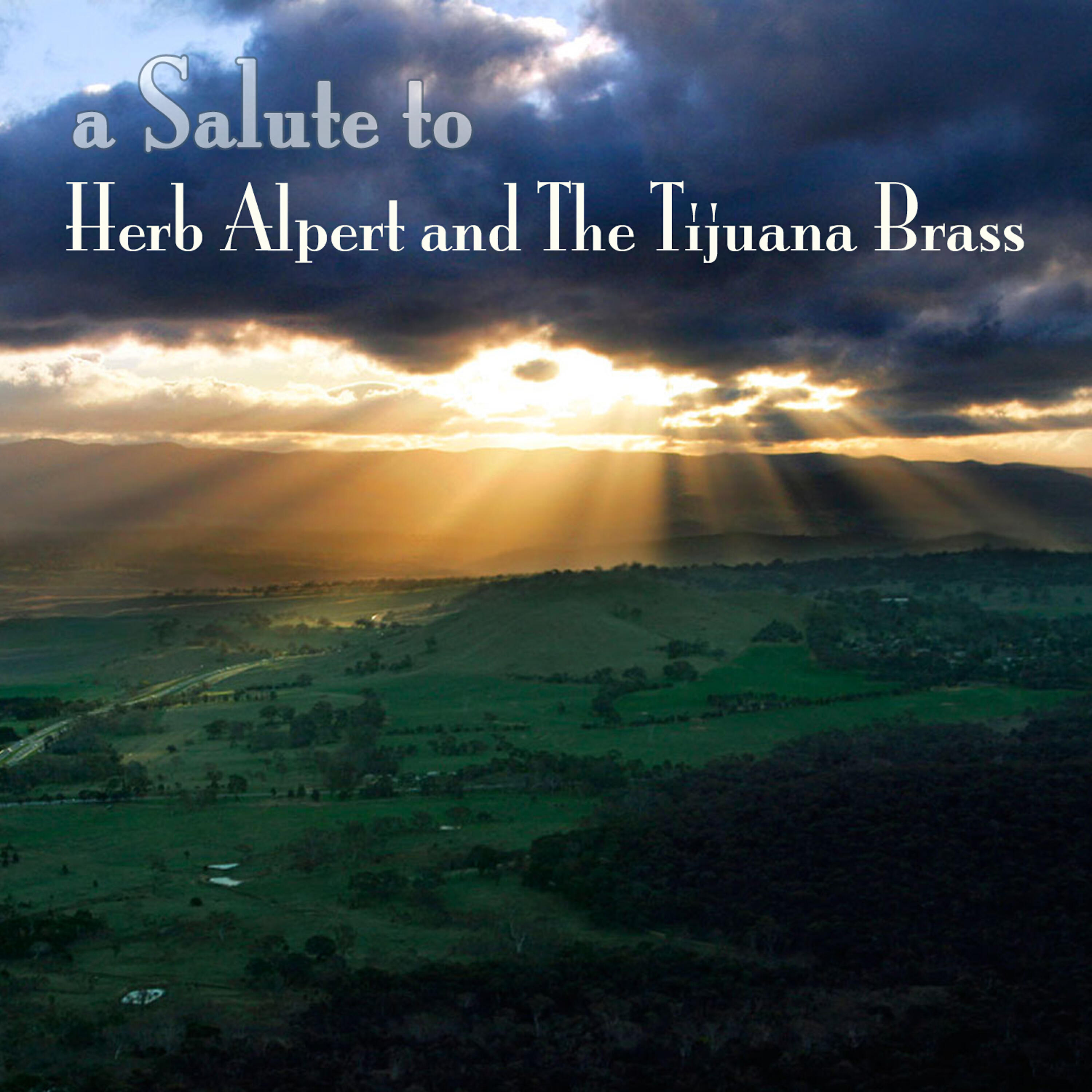 Релиз A Salute To Herb Alpert & The Tijuana Brass