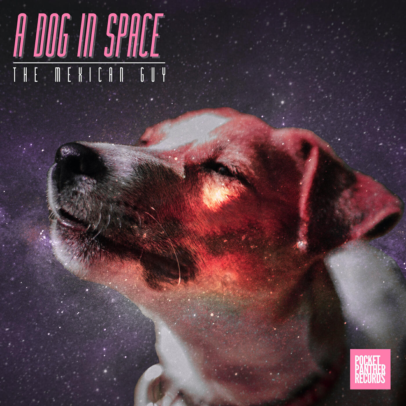 Релиз A Dog in Space