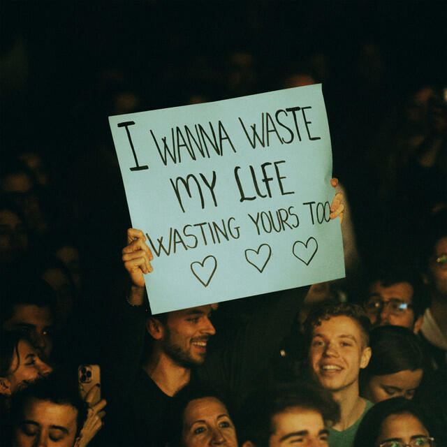 Постер альбома Waste My Life