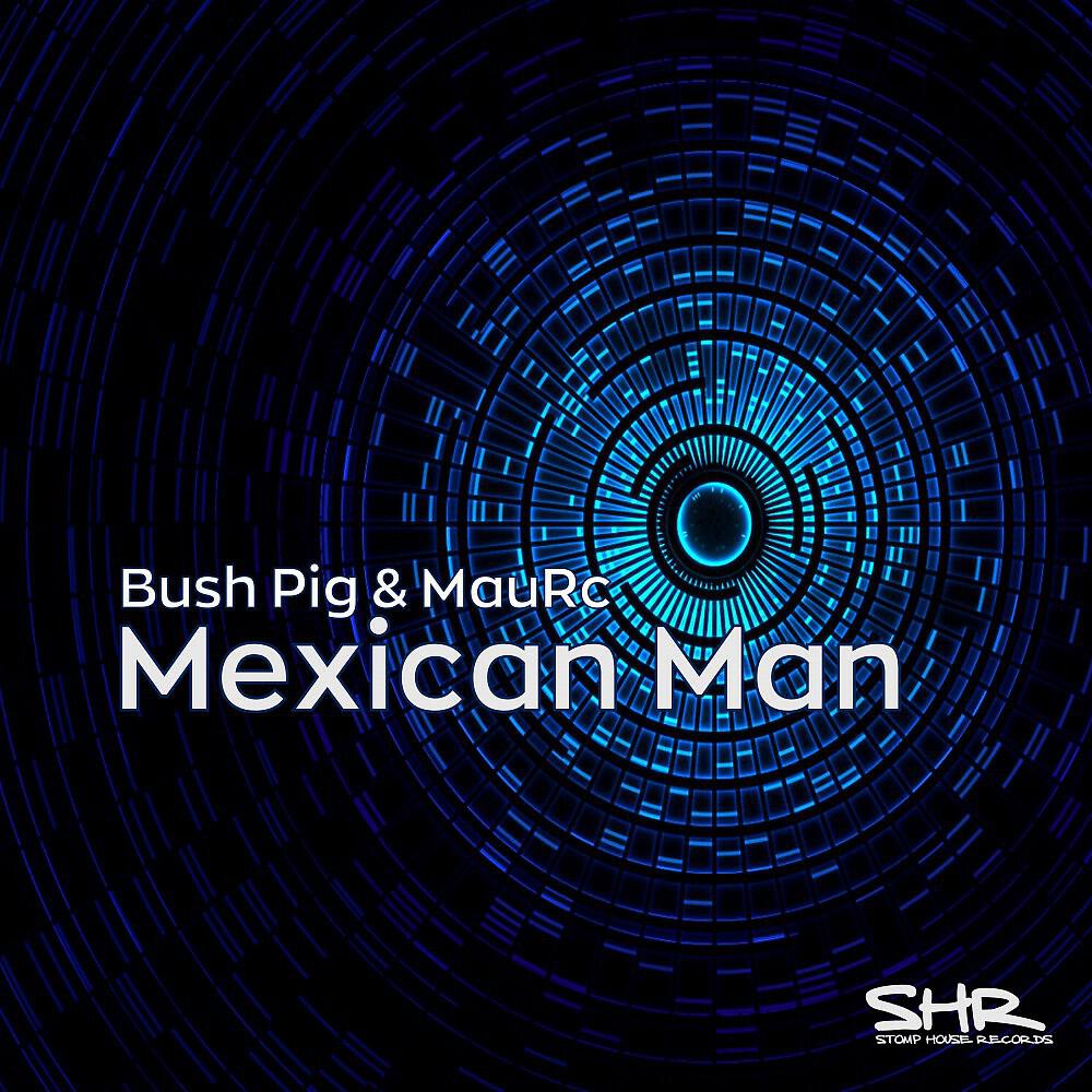 Bush Pig