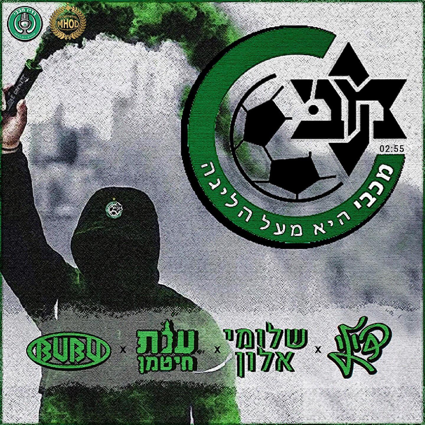 שלומי אלון