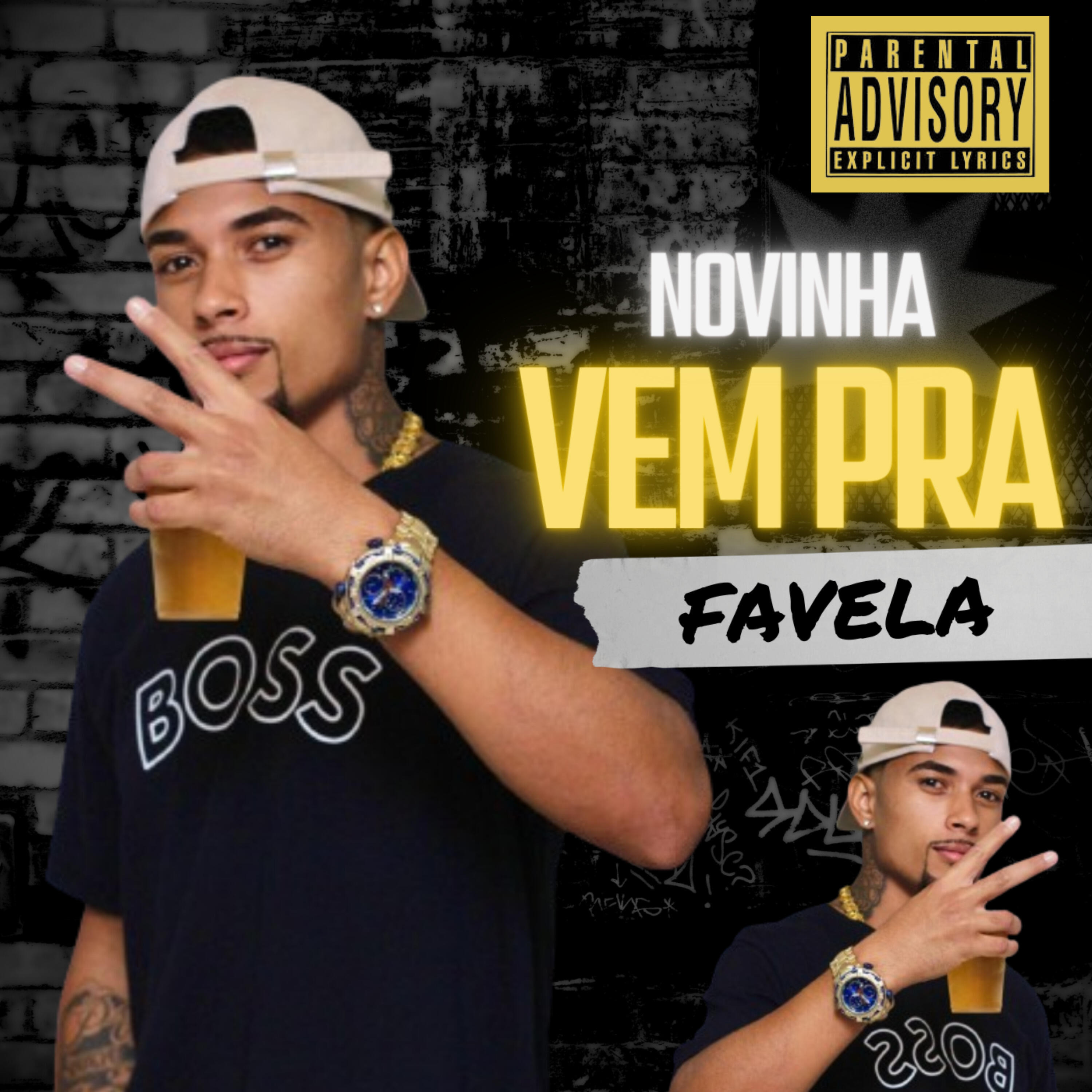 Релиз Novinha Vem pra Favela