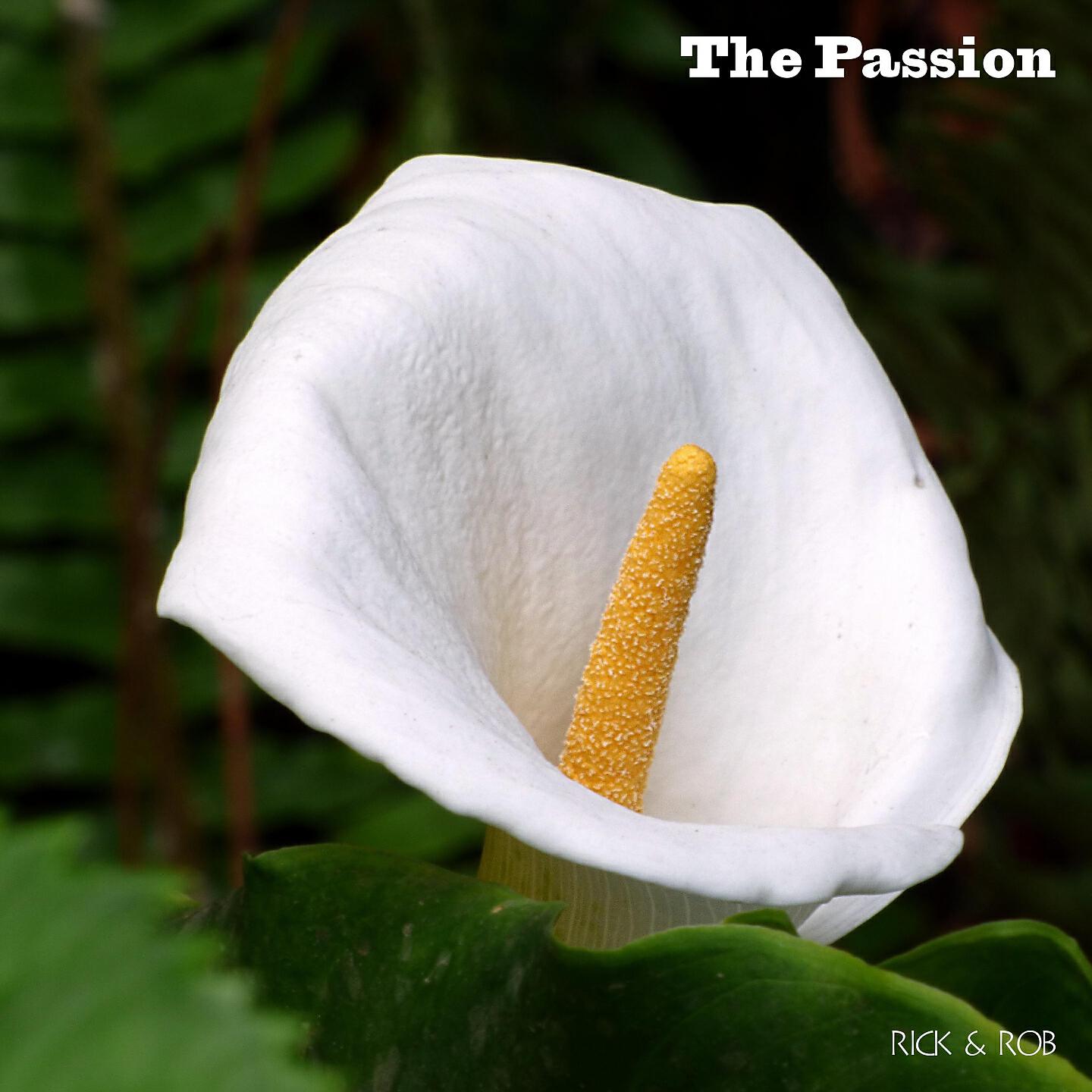 Релиз The Passion