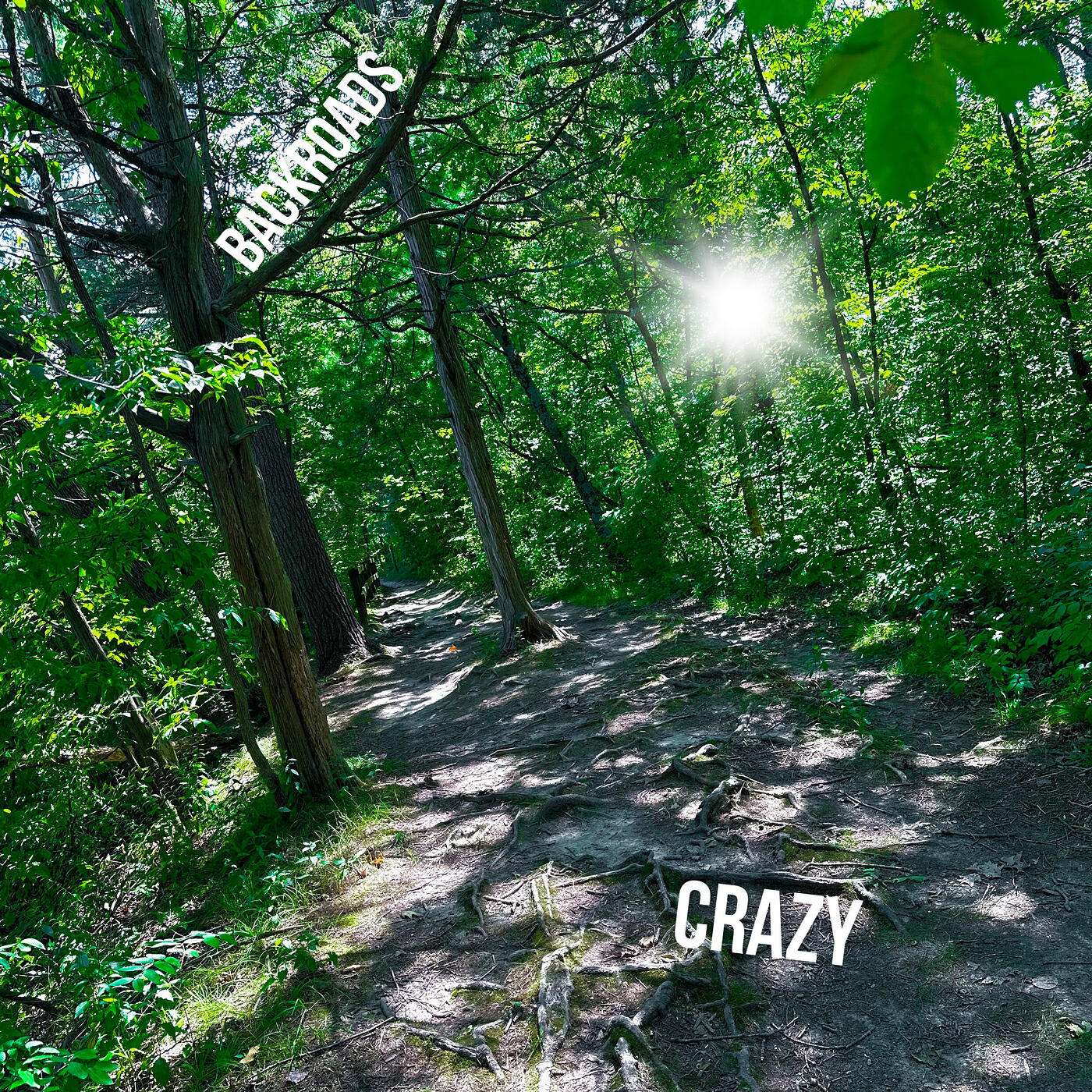 Релиз BackRoads Crazy