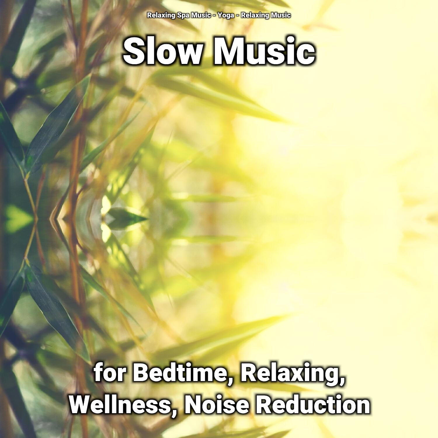 Релиз Slow Music for Bedtime, Relaxing, Wellness, Noise Reduction