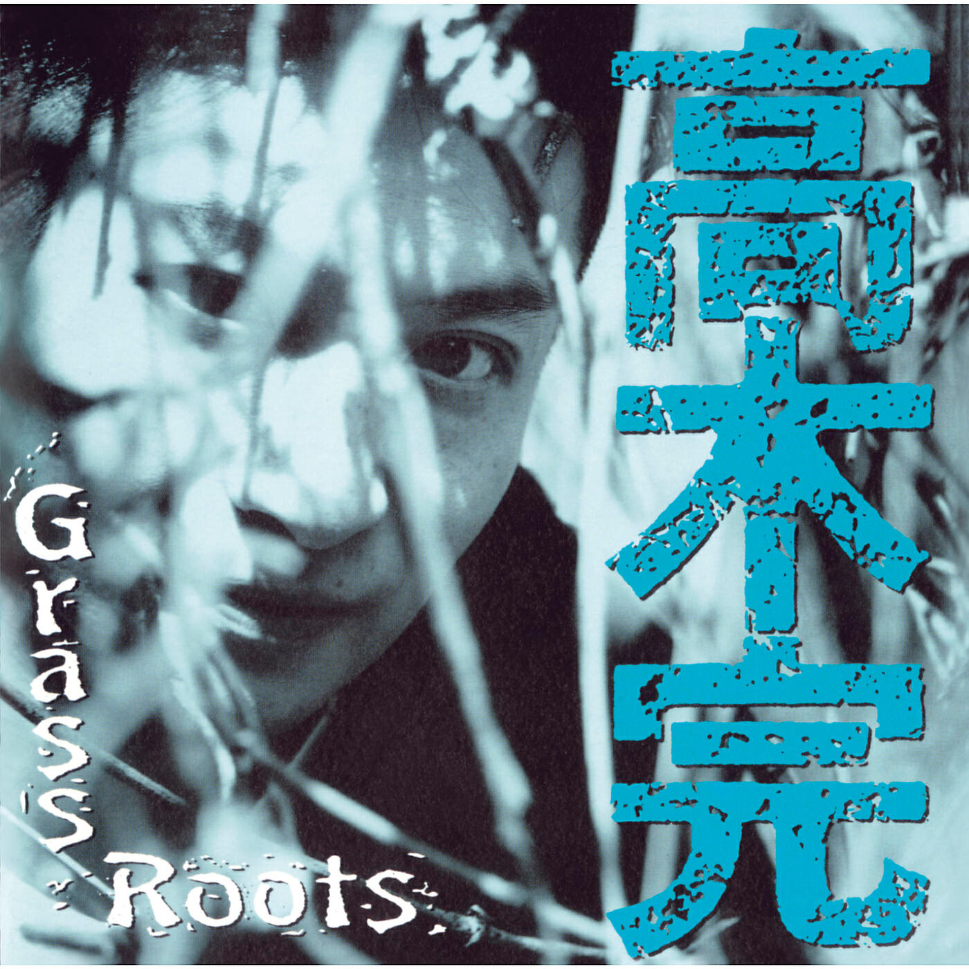 Релиз Grass Roots