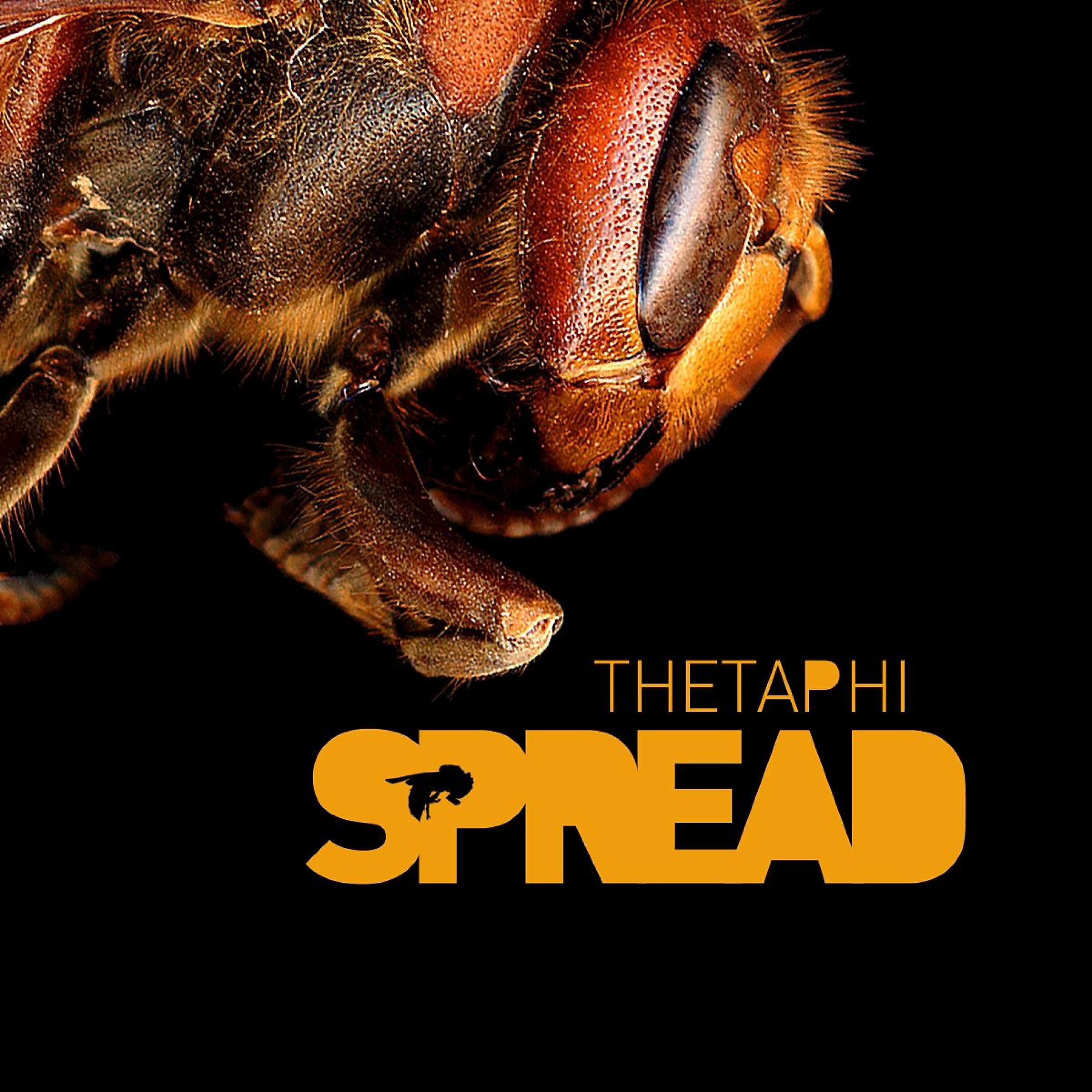 Релиз Spread
