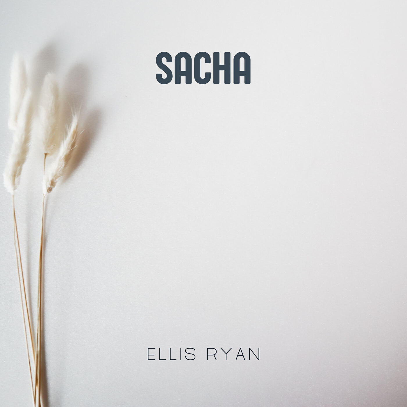 Релиз Sacha