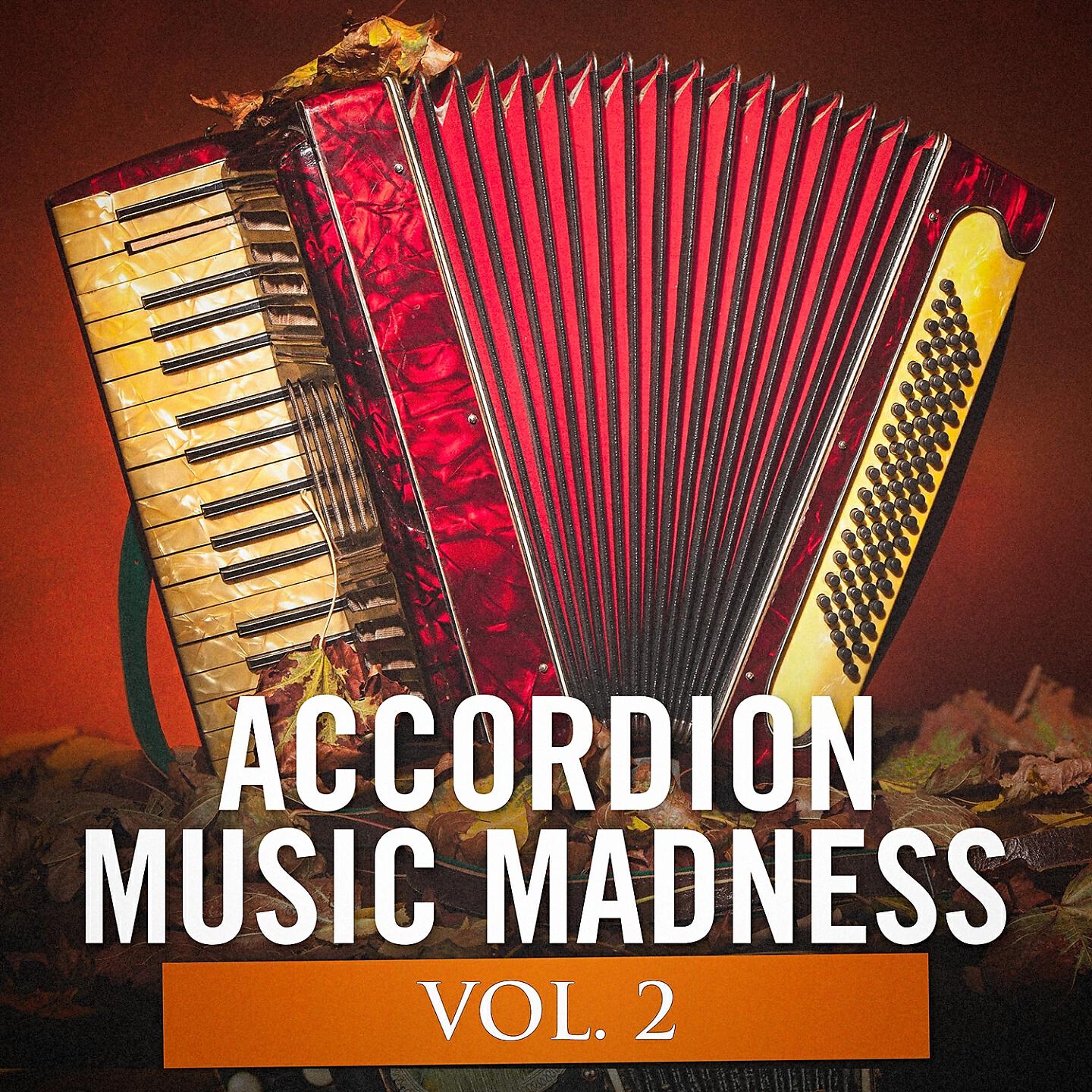Accordéon Académy, The Accordion All-Stars, Musique d'accordéon