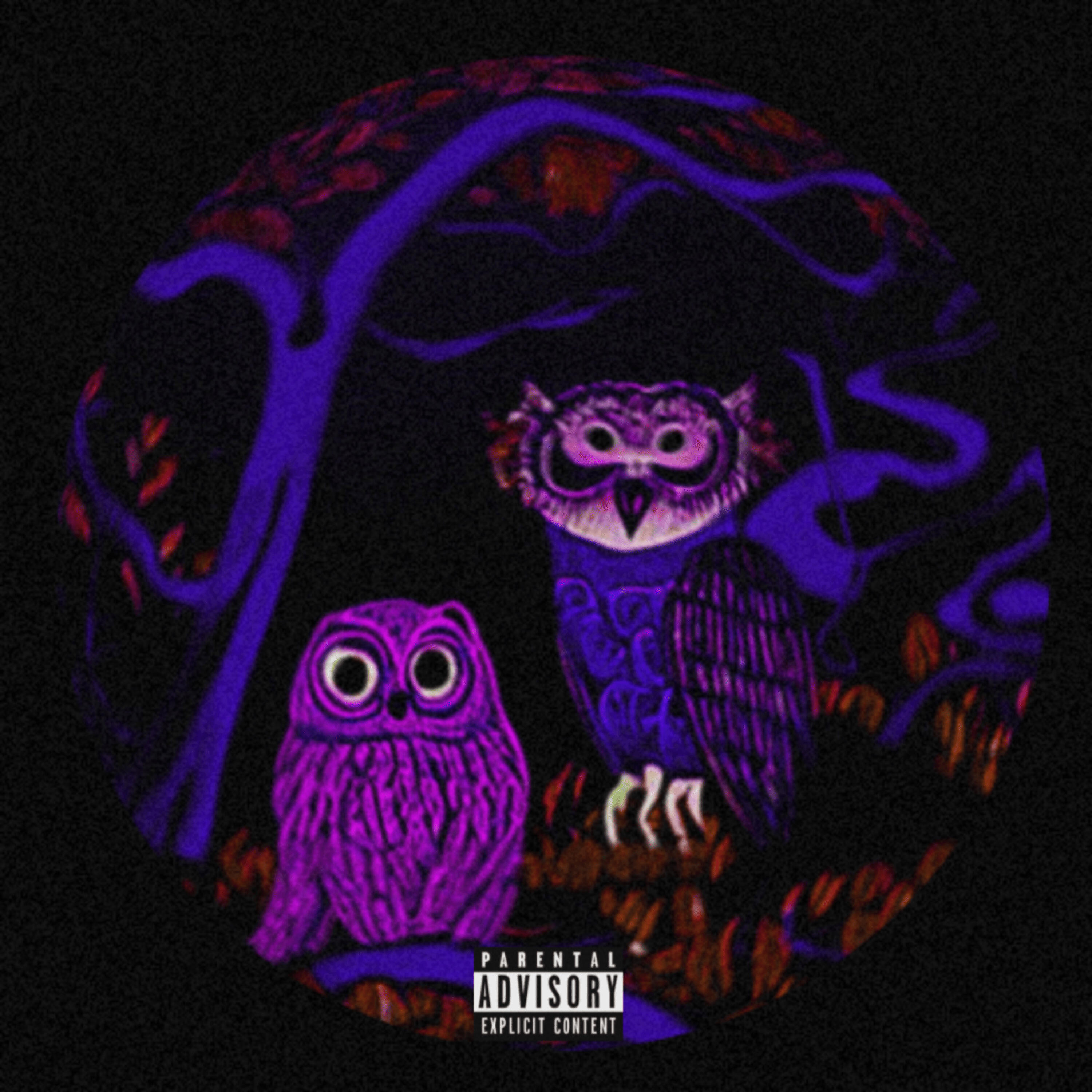 Bloud 14, Nox - Me Lo Avisé