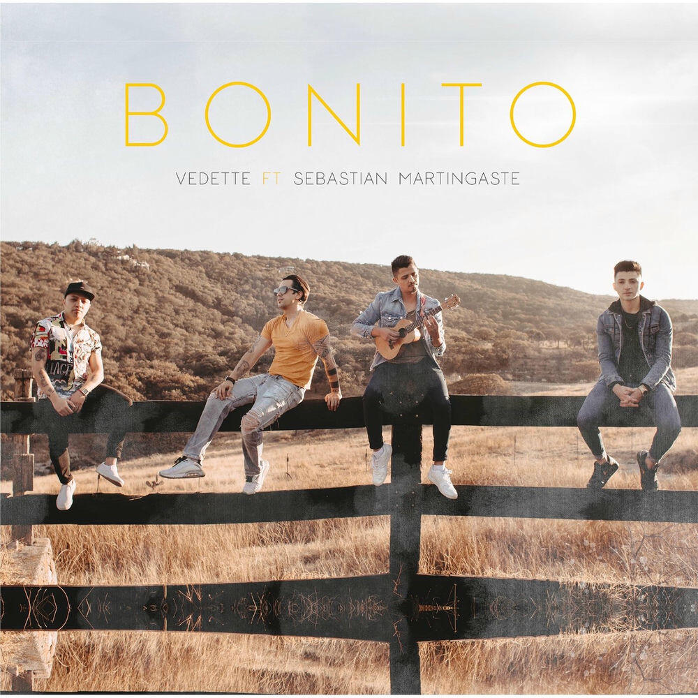 Релиз Bonito