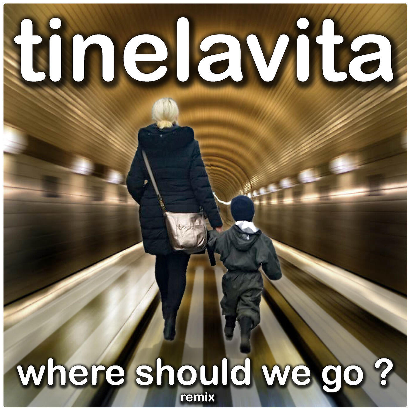 Релиз Where Should We Go ? (Remix)