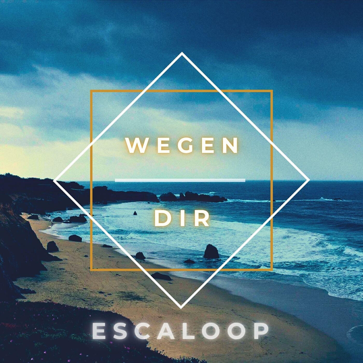 Релиз Wegen Dir