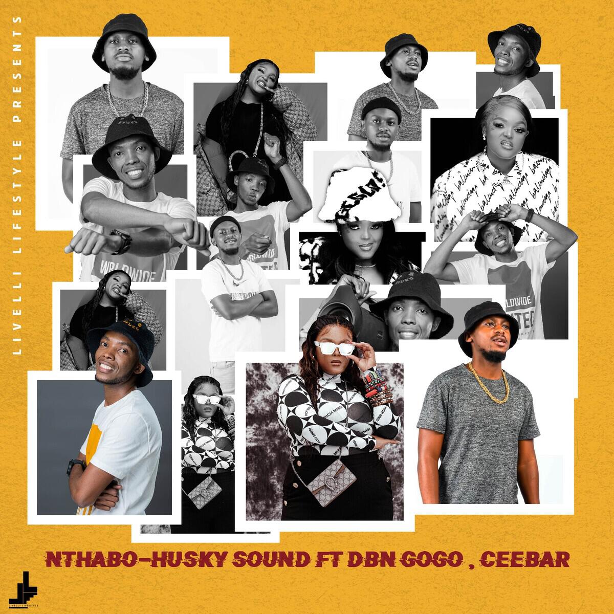 Релиз Husky Sound