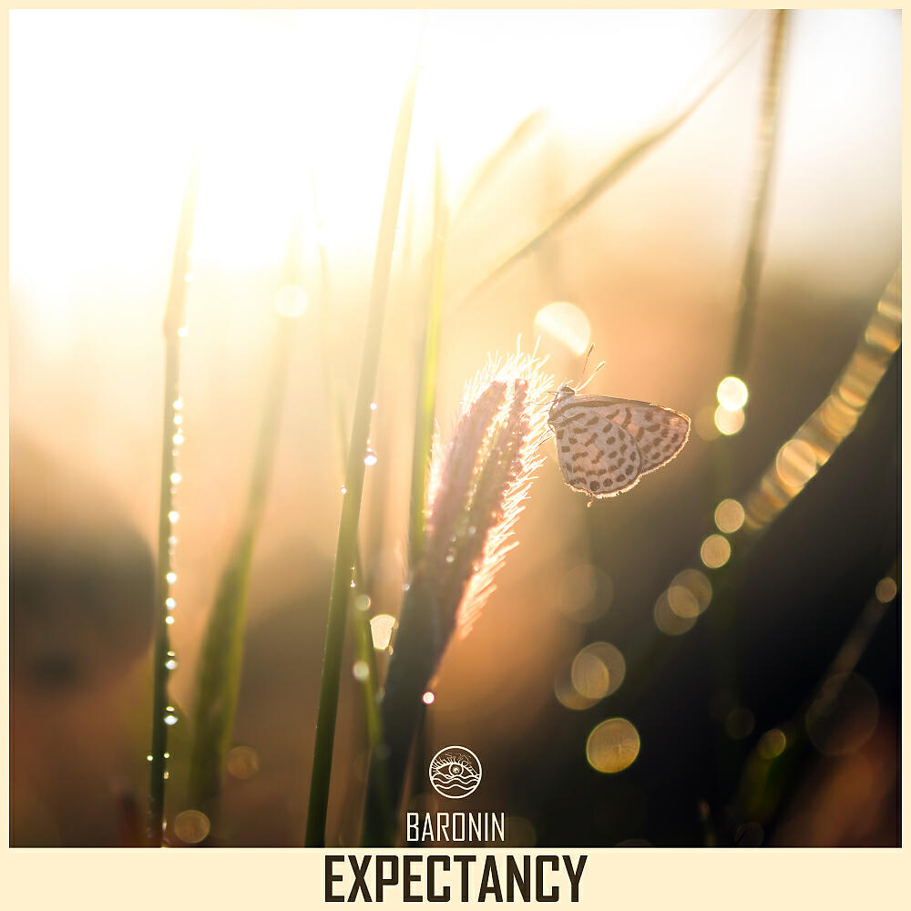 Релиз Expectancy