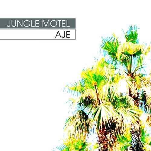 Релиз Aje