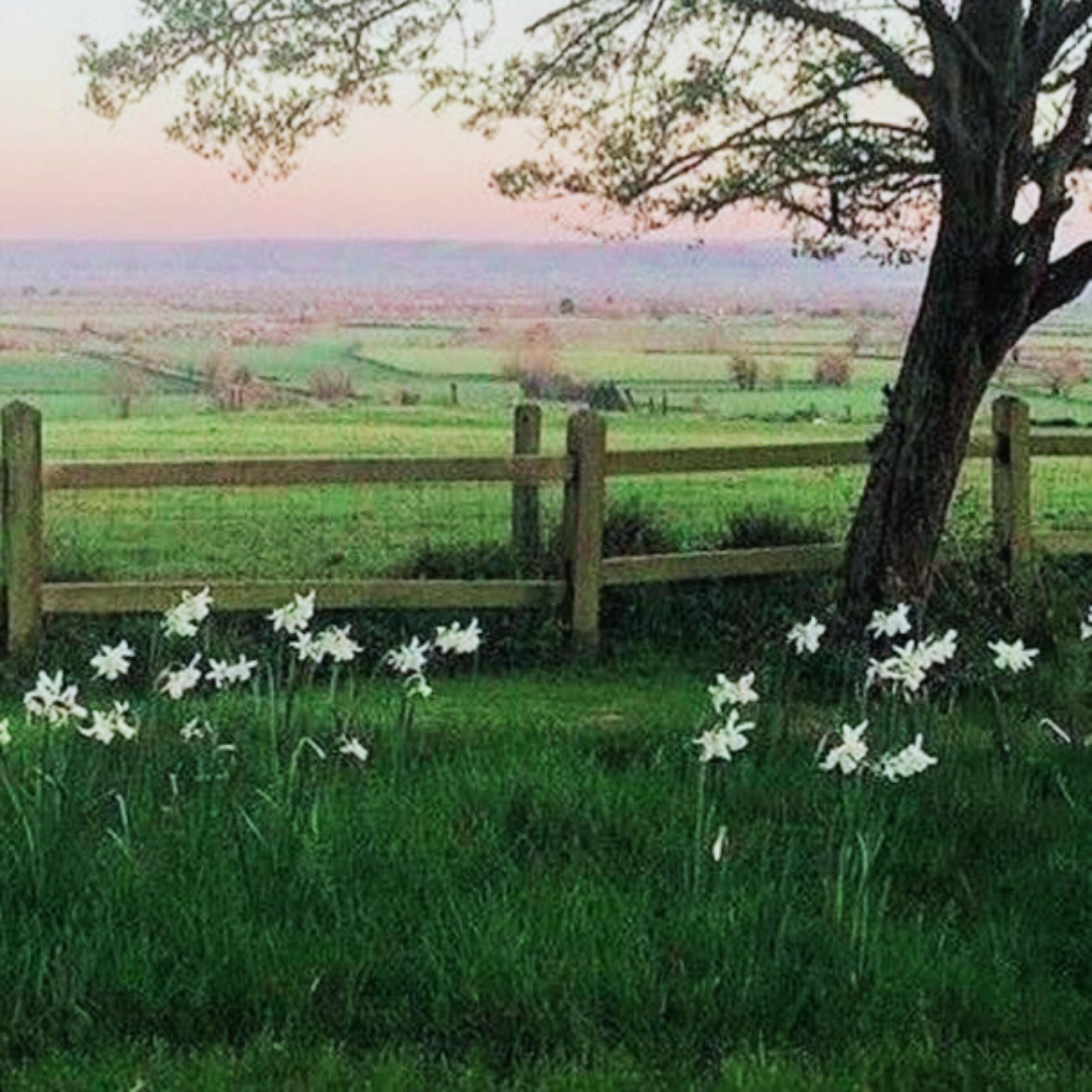 Релиз Just Miss Somethings