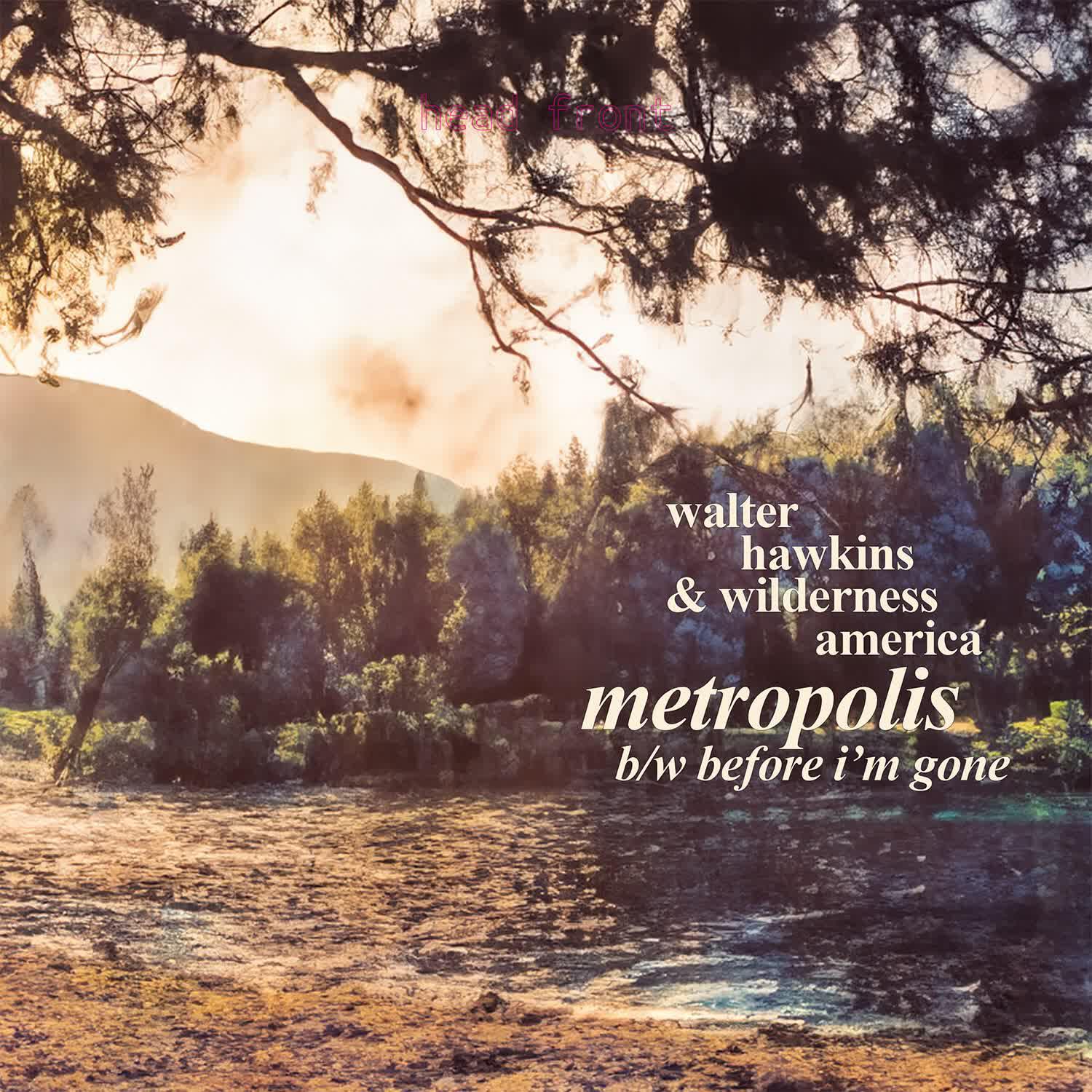 Релиз Metropolis